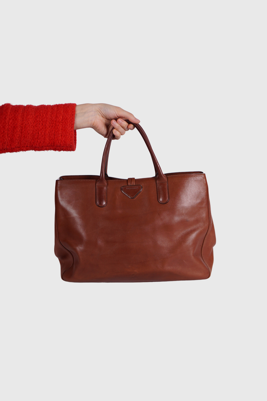 LONGCHAMP Heritage Roseau braun